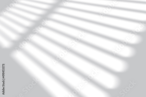 Window Sunlight Shadow Overlay Effect