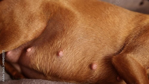 Wallpaper Mural The concept of motherhood family care and expectation of the birth of a new life Torontodigital.ca