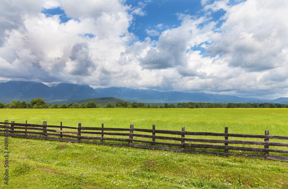 Beautiful summer landscape of foothill valley with green agricultural field of oats behind wooden fence on sunny day. Natural rural background. Eastern Sayan Mountains, Buryatia, Tunka valley, Arshan