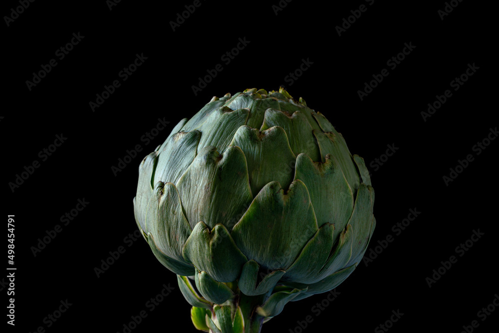 Fototapeta premium not perfect or ugly Fresh globe artichoke isolated on dark background no waste ,zero waste ,