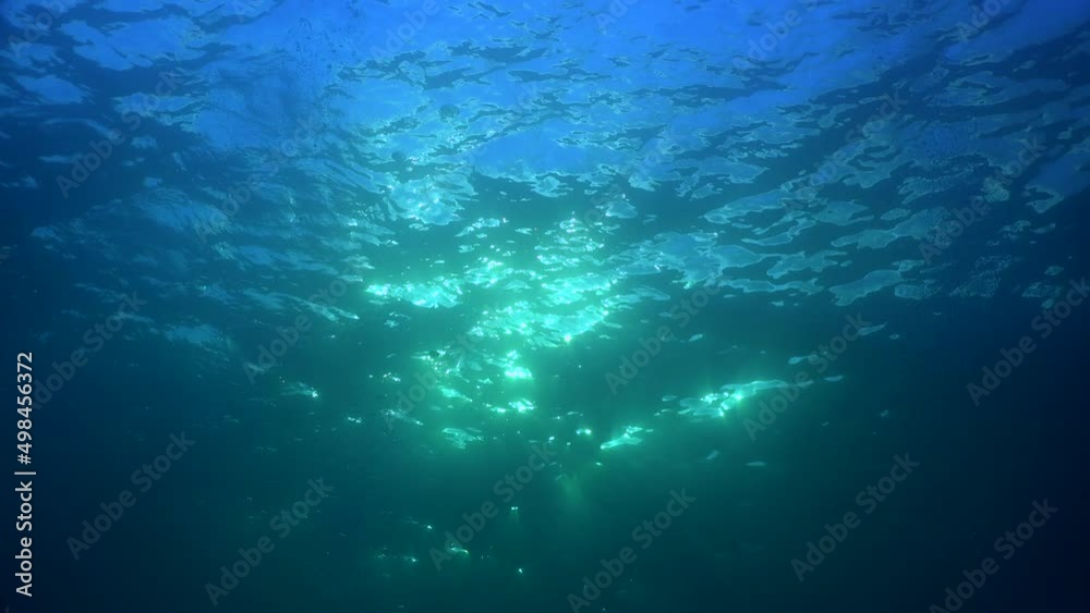Sun rays shining through water surface Sun rays shining through water surface