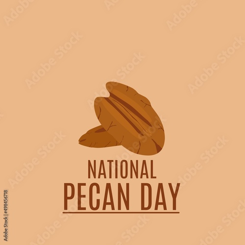pecan vector illustration. perfect for national pecan day