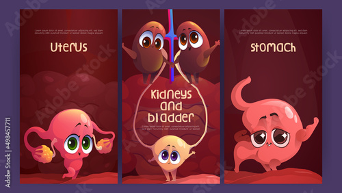 Cartoon medical posters with cute uterus, stomach, kidneys and bladder funny characters. Anatomical positive personages, healthy internal human body organs with cute smile faces, Vector illustration