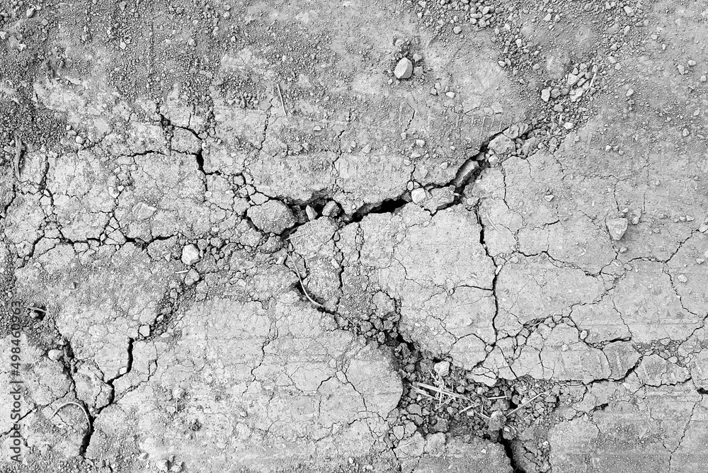 Obraz premium soil crack texture, black & white style