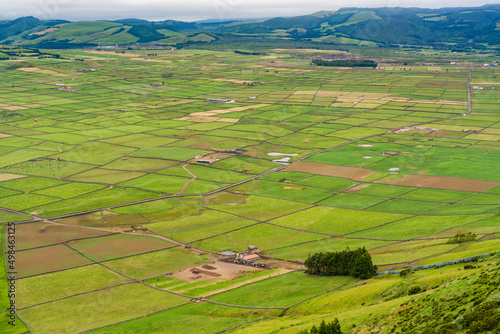 Rural landscape at Terceira, Azores