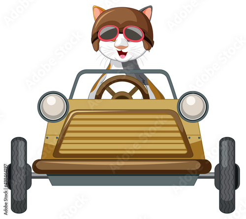 Cartoon cat and soap box derby car