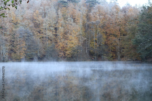 Lake and reflections, you can see the autumn landscape beauties of the leaves falling into the lake and their reflections in Yedigöller - sevenlake Yedigoller Bolu photo