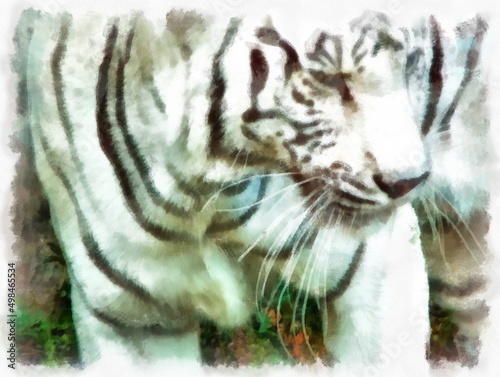 white tiger watercolor style illustration impressionist painting.