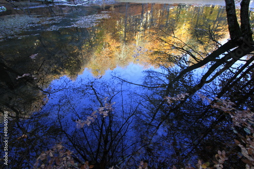 Lake and reflections, you can see the autumn landscape beauties of the leaves falling into the lake and their reflections in Yedigöller - sevenlake Yedigoller Bolu photo