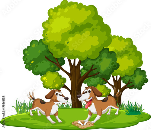 Many dogs playing in the park