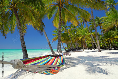perfect tropical coconut palm with hammock at the beach