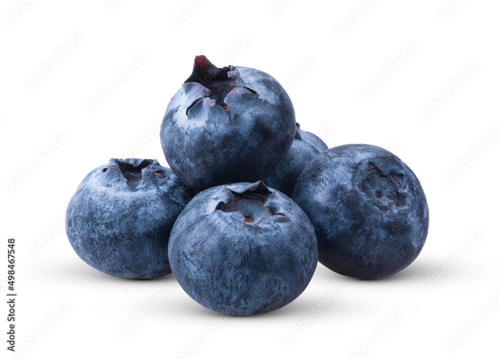 Obraz premium Blueberry isolated on the white background