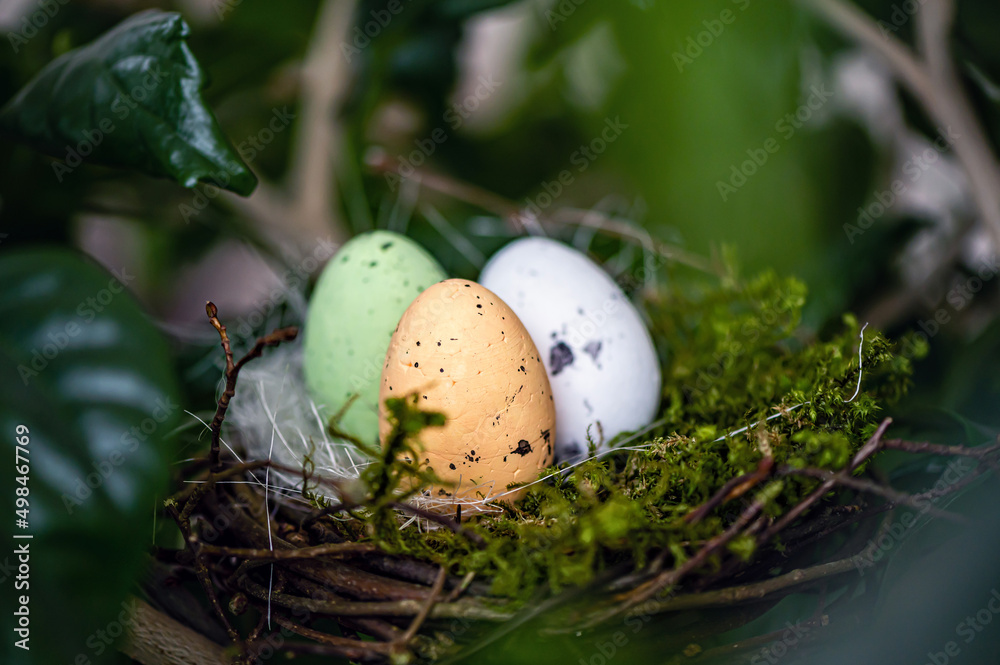 bird nest with colored Easter eggs on branches of green trees, easter decoration, selective focus bird nest with colored Easter eggs on branches of green trees, easter decoration, selective focus