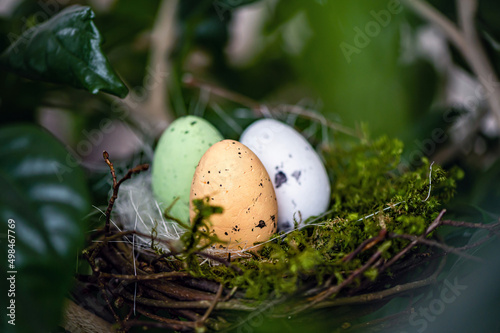 bird  nest with colored Easter eggs on branches of green trees, easter decoration, selective focus