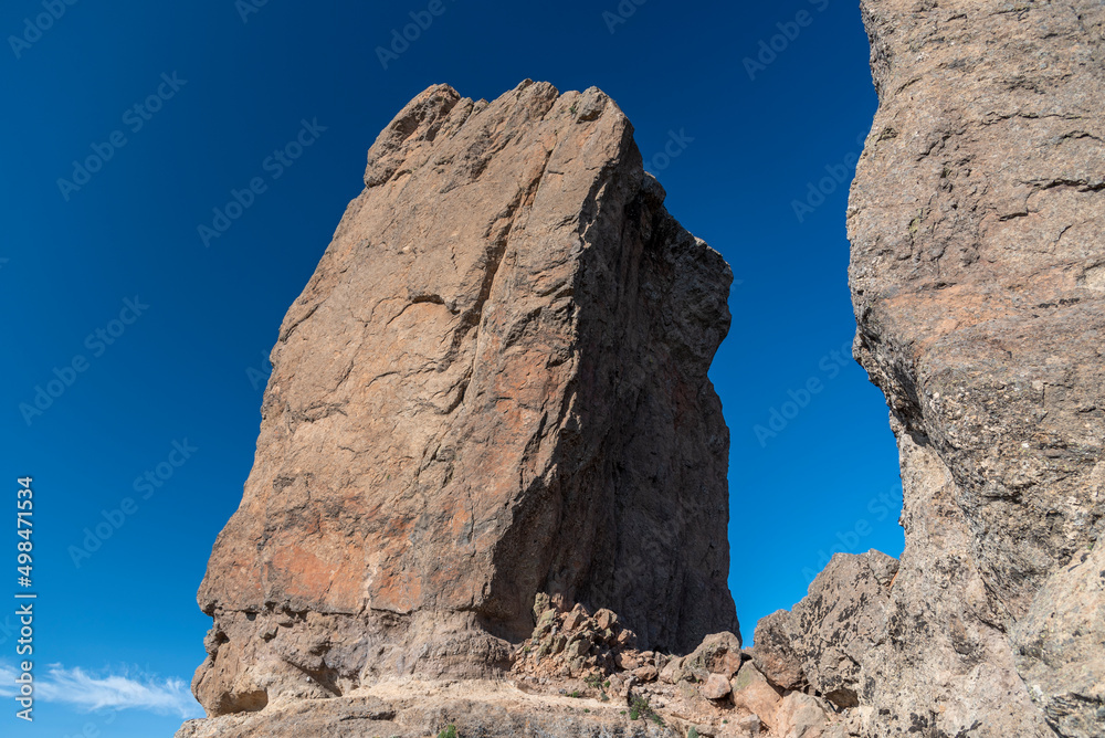 roque nublo