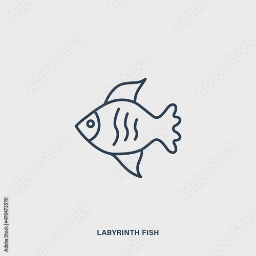 Vector linear labyrinth fish icon. Isolated fish icon on gray background © sergeyvasutin