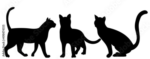 cats silhouette  isolated on white background vector