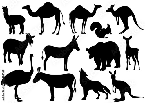 wild animals set silhouette  isolated on white background vector