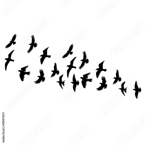 flying flock of birds silhouette, isolated on white background vector