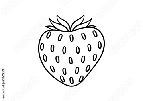 hand drawn illustration of strawberries on a white background