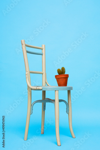 Cactus on chair in studio photo