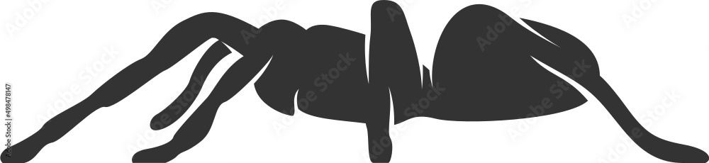 Tarantula Silhouette. Isolated Vector Animal Template for Logo Company, Icon, Symbol etc