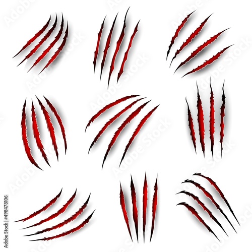 Claw marks with blood scratches of tiger beast or lion and bear, vector wild animal paw slashes. Panther wild cat or monster werewolf claw slashes with red bloody ripped marks and scratch shreds