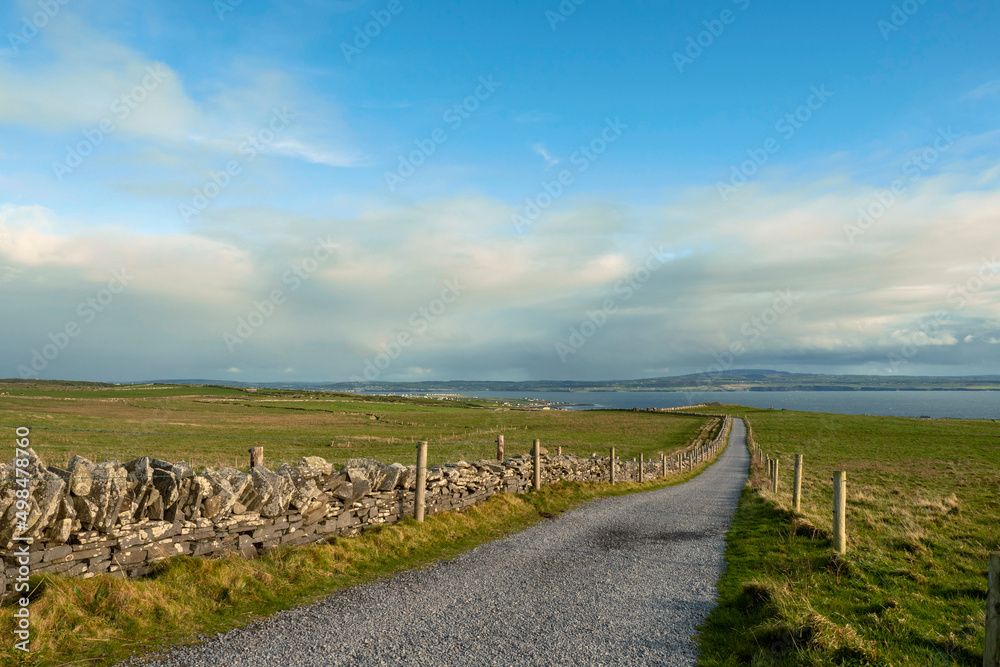 Small narrow country road between big green agriculture fields. County Clare, Ireland. Warm sunny day, Cloudy sky. Farming industry. Irish landscape