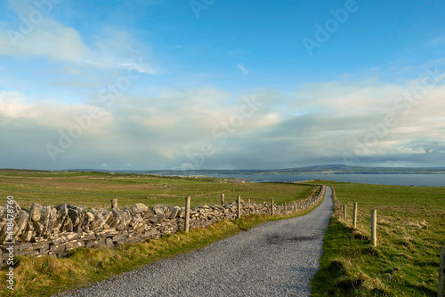 Small narrow country road between big green agriculture fields. County Clare  Ireland. Warm sunny day  Cloudy sky. Farming industry. Irish landscape