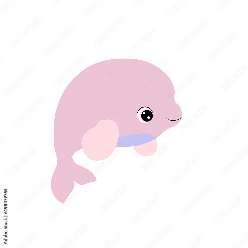 dolphin baby isolated on white background dolphin baby isolated on white background