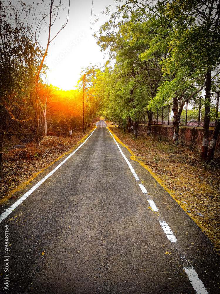 Fototapeta premium road in autumn