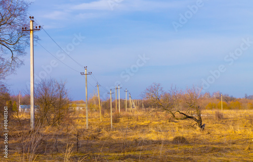 A lone tree on a power line against a background of orange grass. Combination of technology and nature. Dry gnarled tree against the background of power poles. © maltsev_em