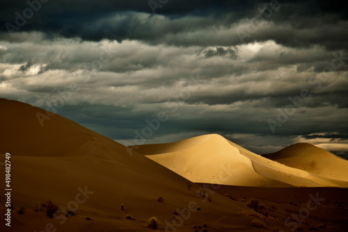 A rainy day in the desert. © Shutterchi