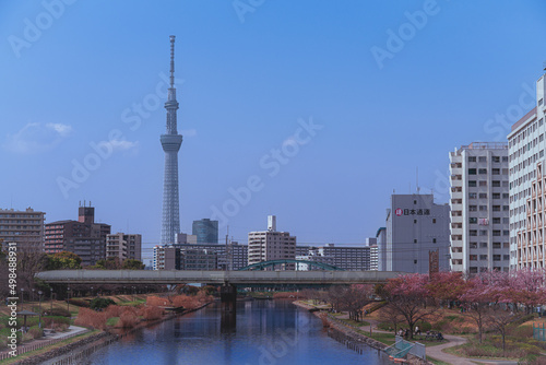 2022年3月　川辺から見た東京スカイツリー