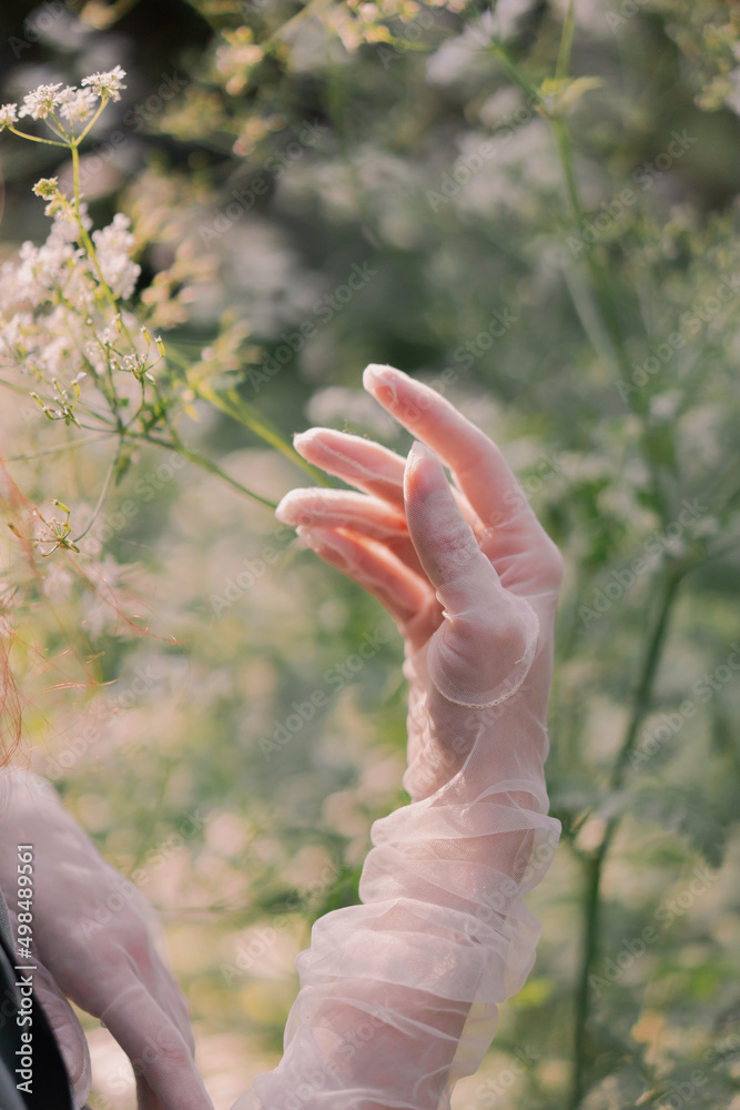 elegant woman hand in a nylon white glove with ring surrounded by white wildflowers. Walking in forest
collecting flowers