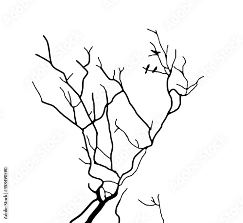 Illustration of Dead Tree Trunk at Winter in Black and White