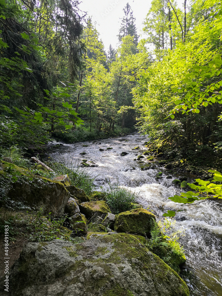Rustic wild gorge Buchberger Leite in the Bavarian Forest Germany,Europe