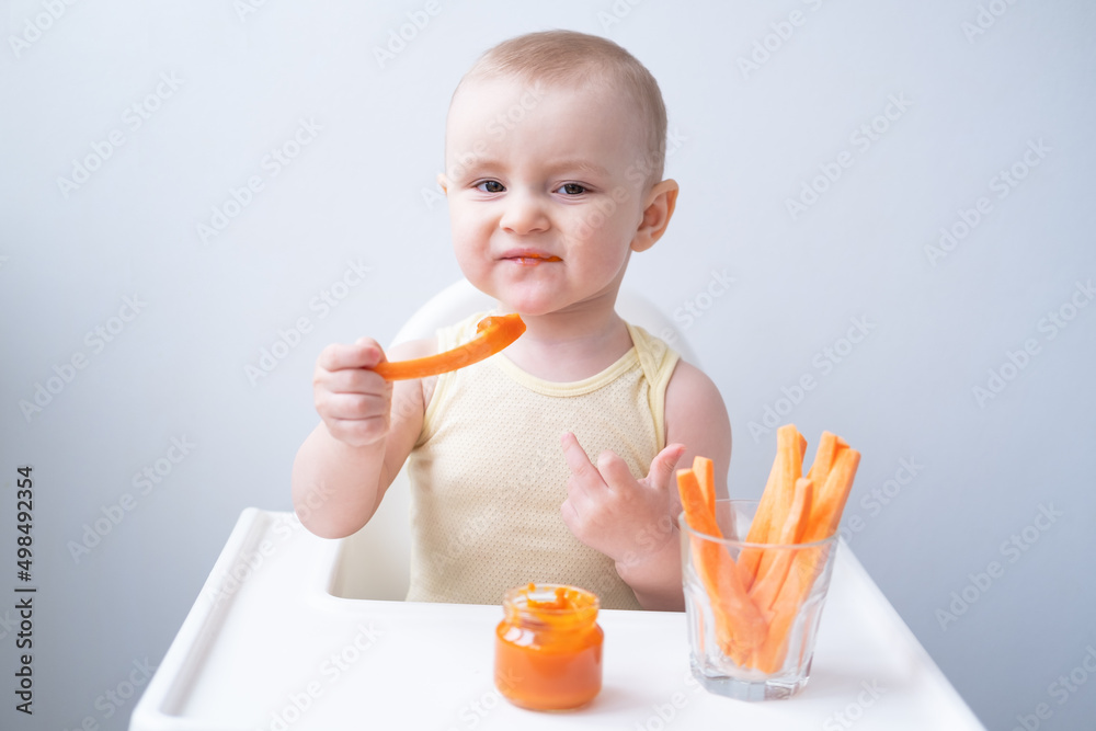 cute baby girl in yellow bodysuit sitting in childs chair eating carrot slices and vegetables purees