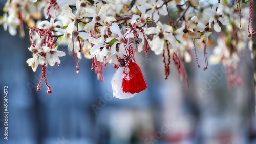 Red and white Martenitsa or Martisor bracelets, hanging on the branches of the blooming tree - Bulgarian and Romanian spring tradition