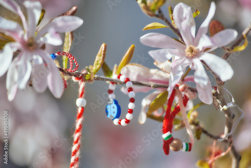 Red and white Martenitsa or Martisor bracelets, hanging on the branches of the blooming tree - Bulgarian and Romanian spring tradition