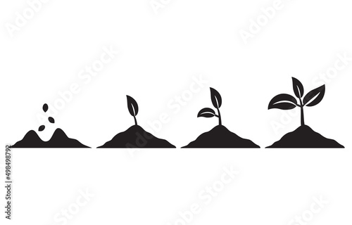 Stage growth plants.Life cycle of plant.Phases plant growing.Planting tree. Incremental agriculture.Development from seed to bush.Black silhouette vector flat illustration. photo