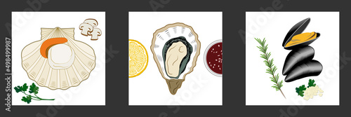 Ensemble de 3 posters carré pour décorer votre cuisine ou votre restaurant avec des dessins de mollusques bivalves : une coquille saint Jacques, une huitre, et des moules.