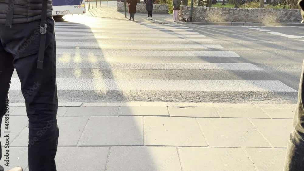 Close-up of a pedestrian crossing with traffic in the backlight of the evening sun on the street of a European city in Krakow, Poland. Legs of pedestrians at the crosswalk zebra Close-up of a pedestrian crossing with traffic in the backlight of the evening sun on the street of a European city in Krakow, Poland. Legs of pedestrians at the crosswalk zebra