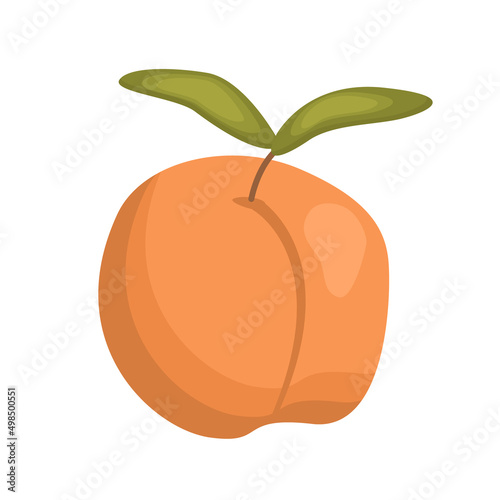 A whole vector peach with a twig and a leaf on a white background is isolated. Illustration of a ripe fruit