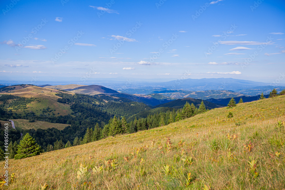 Picturesque Scenery Green Hills And Fields With Pine Trees. Summer Countryside Mountain Nature Landscape.  Beautiful Blue Sky With Clouds. Visually attractive View Of Mountain Kopaonik, Serbia, Europe