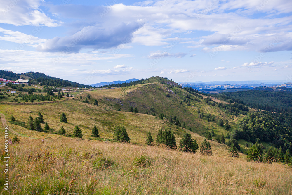 Naklejka premium Picturesque Scenery Green Hills And Fields With Pine Trees. Summer Countryside Mountain Nature Landscape. Beautiful Blue Sky With Clouds. Visually attractive View Of Mountain Kopaonik, Serbia, Europe