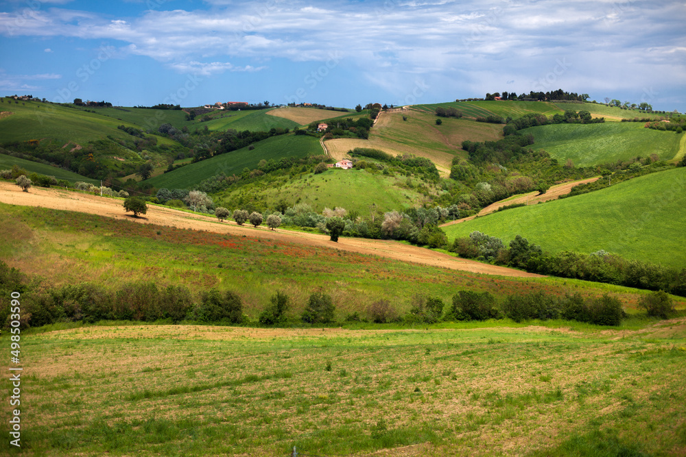 Central Italy cultivated hills