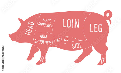 American primal pork meat cuts diagram photo