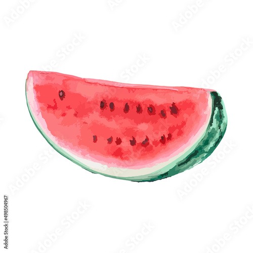 Watercolor slice of watermelon. Vector fruit illustration for a cookbook, ingredients of recipes, advertising, cards for children and botanical magazines. Natural and organic agriculture.