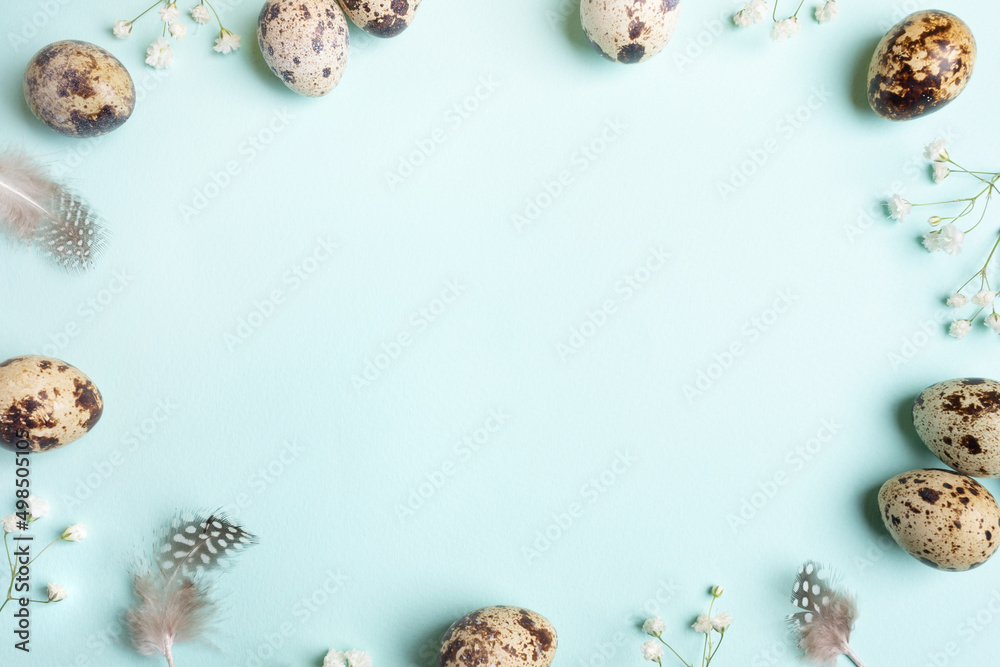 Frame of quail eggs, feathers, white gypsophila flowers on light blue. Top view. Copy space.